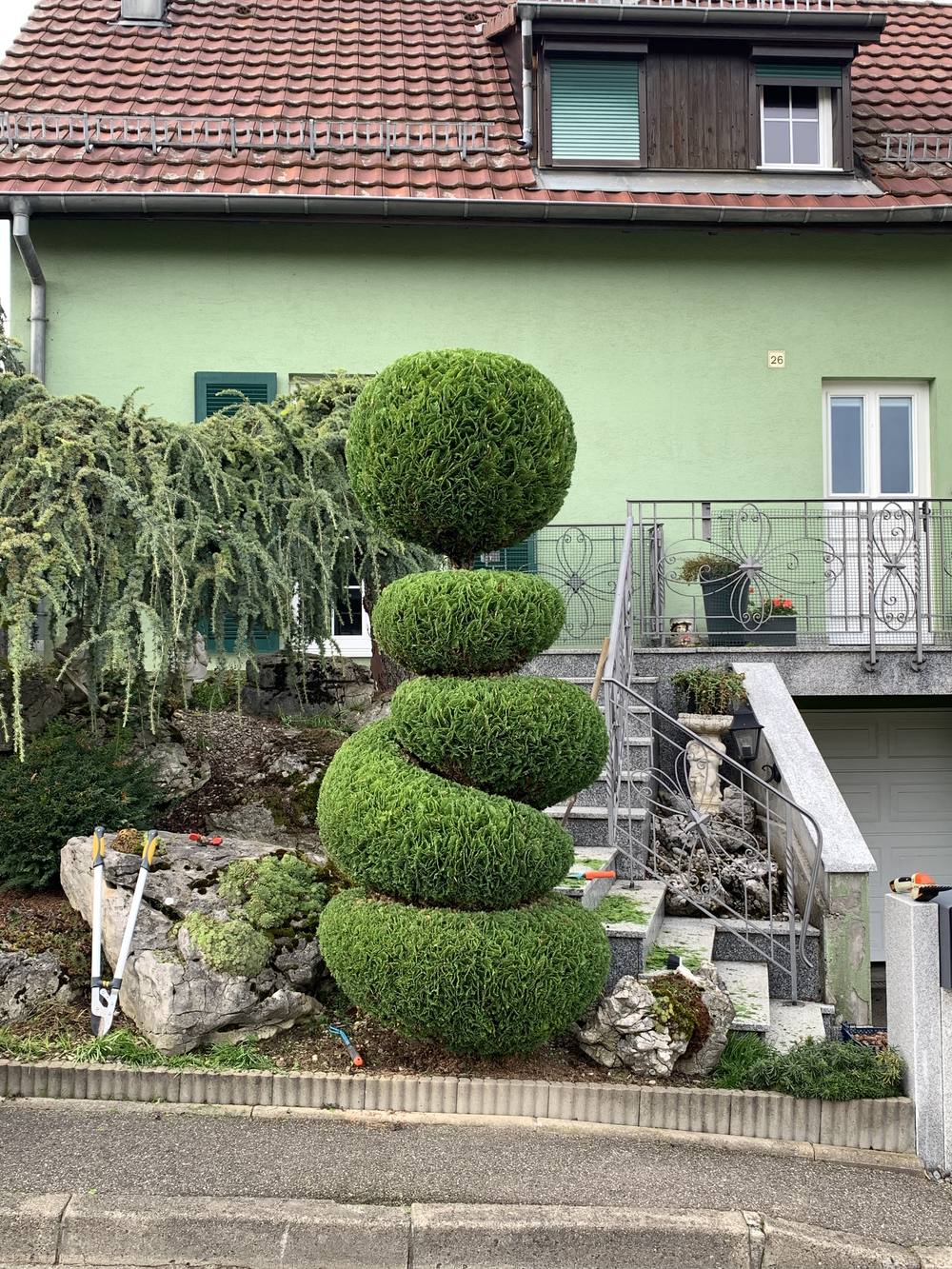 Topiaire taillé en spirale dans une rocaille, réalisé par EK Paysage